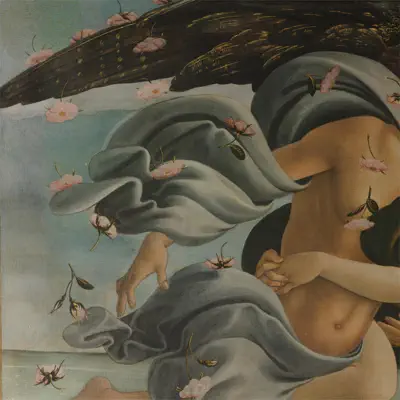 Listen to Infinite Light by Not Waving & Romance