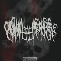 challenge (feat. xxsparkzz & Ginseng) - Single - zaya archive
