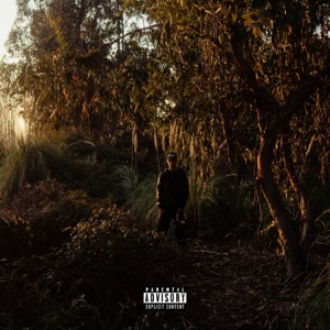 Pecando (feat. Cytrax)