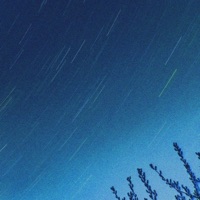 Wasting My Time - EP - KSEK & yamswave