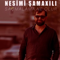 Saçmalama Ne Olur - Single - Nesimi Samaxili