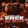 FREE BIG MEECH (feat. Big C) - Single