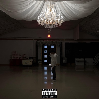 Vibes 3
