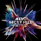 Indestructible (Disrupta Remix) artwork