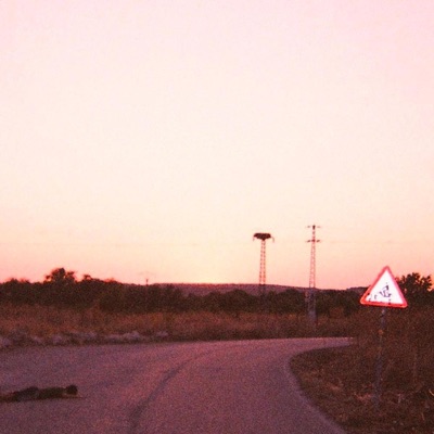 Adolescente Apocalipsis