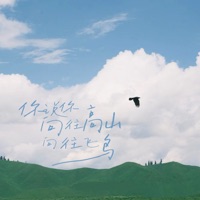 你说你向往高山 向往飞鸟 - Single - 风范 & 番番