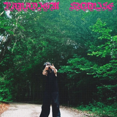 TU SEI UN LAME Pt2 (feat. Jayesk Glocka) - Single