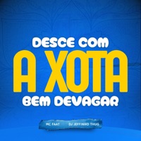 Desce Com a Xota Bem Devagar - Single - Dj Jeffinho Thug & MC Faat