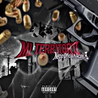 Mi territorio (feat. Necio official, Acxel B. & RN beatz) - Single - El que sabe record