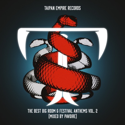 The Best Big Room & Festival Anthems Vol. 2 (mixed by Pavoire) [DJ Mix]