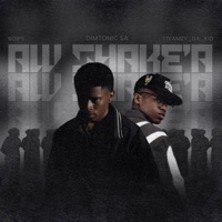 AW SHAKE'A (feat. Boips & Steamzy_Da_Kid) - Single - Dimtonic SA