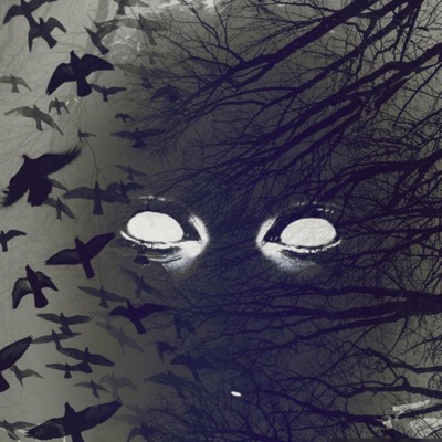 Shawty You can pull up to the crib (feat. FNF Tazz) - Single