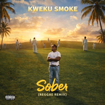 Sober (Reggae Remix) - Single