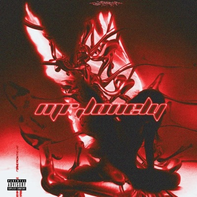 Mr. LONELY - Single