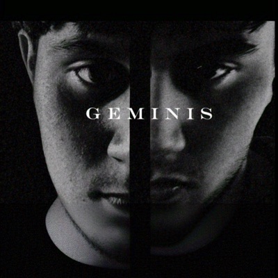 GEMINIS