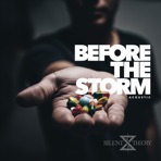 Before the Storm - Single