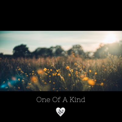 One Of A Kind - Single