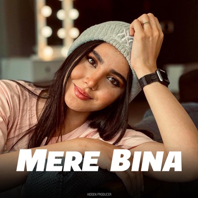 Hidden Producer - Mere Bina