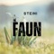Faun - Steini lyrics