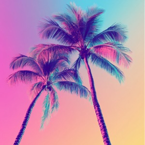 Palm Trees