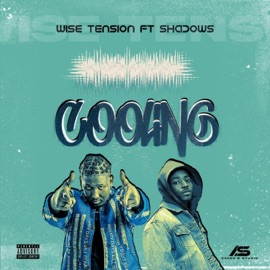 Cooling (feat. Shadows) Wise Tension