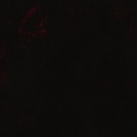 TILL DEATH DO US PART - Single - Exsire & 0UCHYY