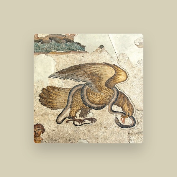 Çağlar Fidan's avatar
