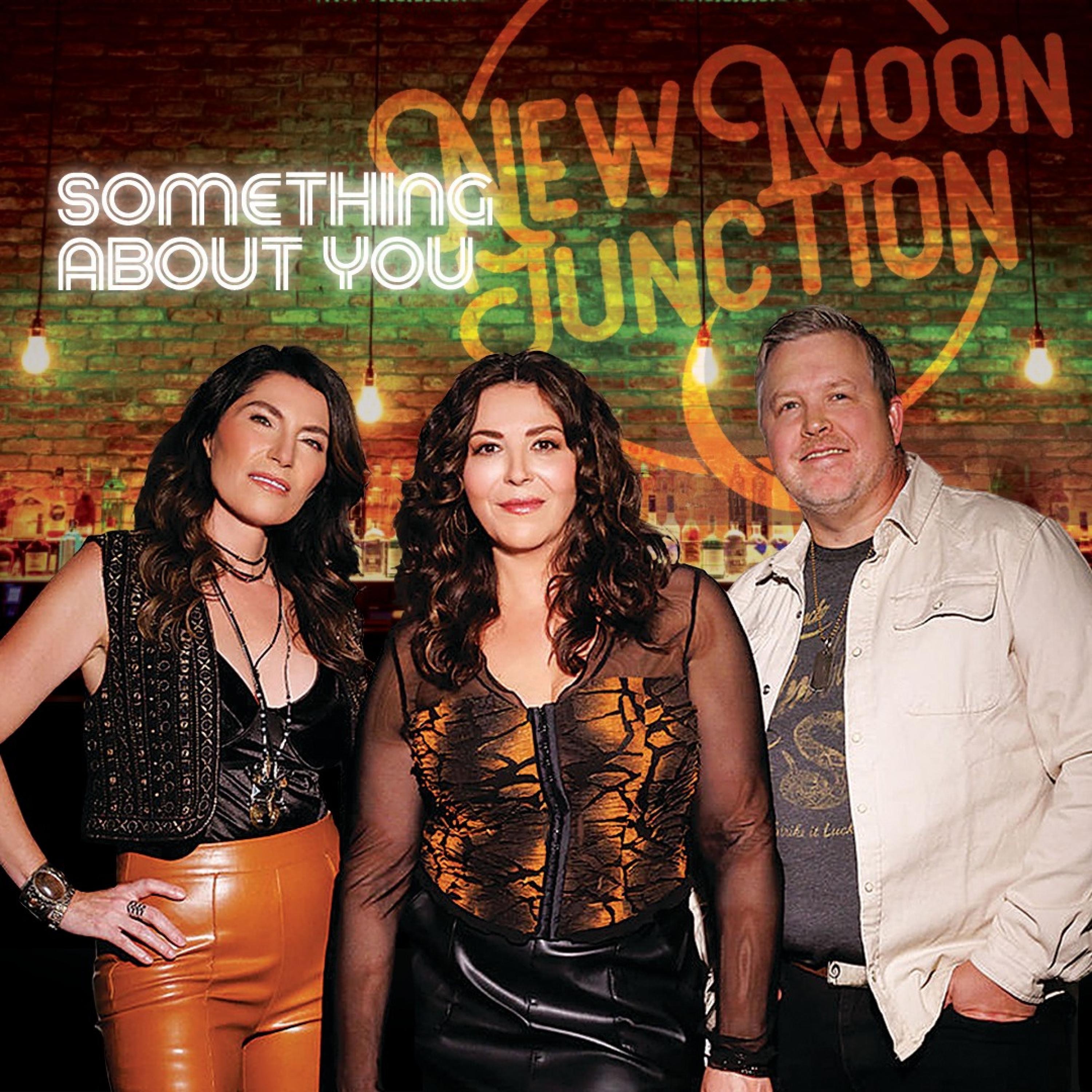Something About You - Single