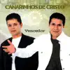 Canarinhos de Cristo - Vai Cair o Poder Agora