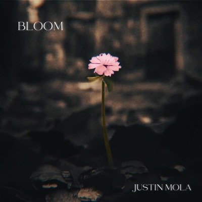 Bloom - EP