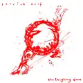 The Laughing Dove