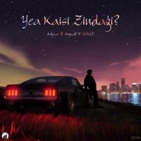 Yea Kaisi Zindagi - Single - Angaar, Aryaali & SNKLP