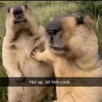 Heat (feat. NITRO) - Single - BCoast