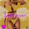 Humo Y Sexo (feat. Black Melody) - Single