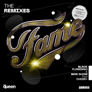 Fame (feat. Choir) [The Remixes] - EP