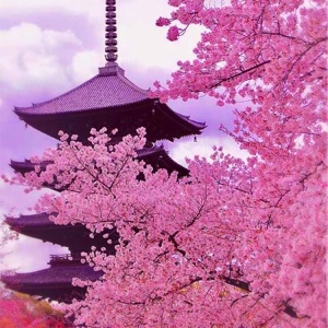 Kyoto - EP