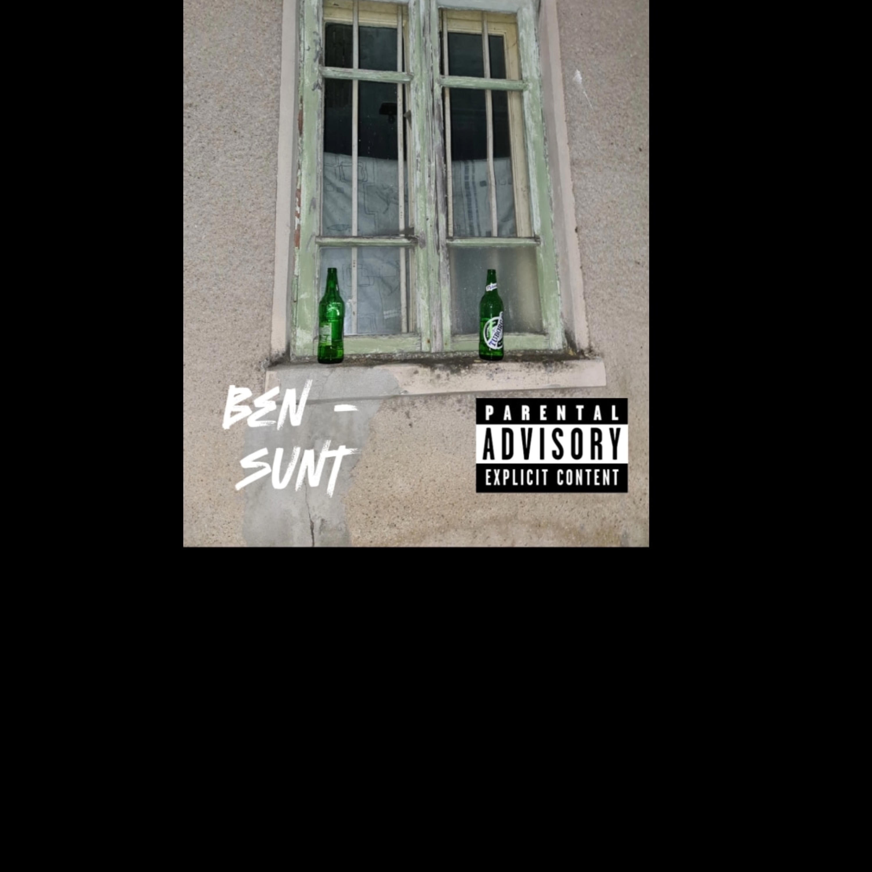 Sunt - Single