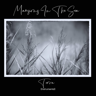 Terra (Instrumental)