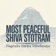 Nagendra Haray Trilochanay Most Peaceful Shiva Panchakshar Stotram Soulful Mahadev Meditation Single