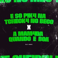 É SÓ PIK4 NA TCHECK4 NO BECO x A MAM4DA QUANDO É BOA - Single - DJ Awk