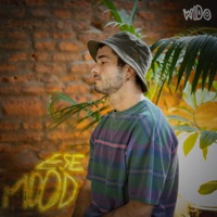 Ese Mood - Single - Wido
