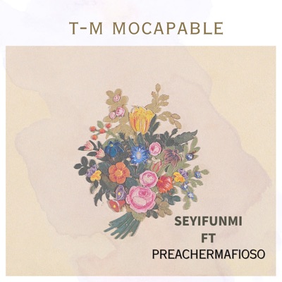Seyifunmi (feat. Preachermafioso) - Single