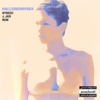 HALLEBERRY$€X - Single - Steezo & ROB