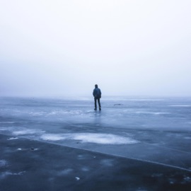 Are you there Bucky & Oscuro