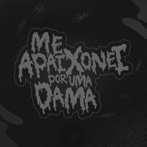 Me Apaixonei por uma Dama - Slowed Reverb (feat. DJ Yago)