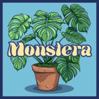 MONSTERA - Single