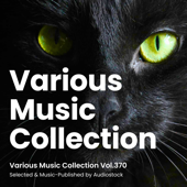 The Fantastic Orchestra