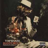 Buddy Acez - Single - The Shark