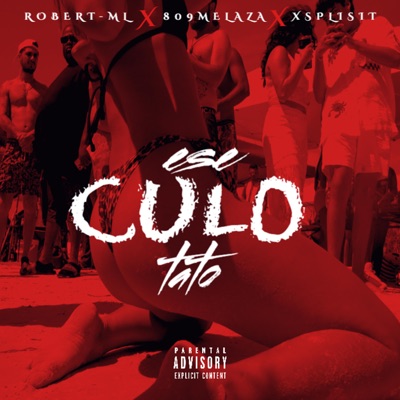 ESE CULO TATO (feat. 809melaza & Xplist) - Single