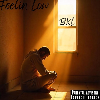 Feelin Low - Single
